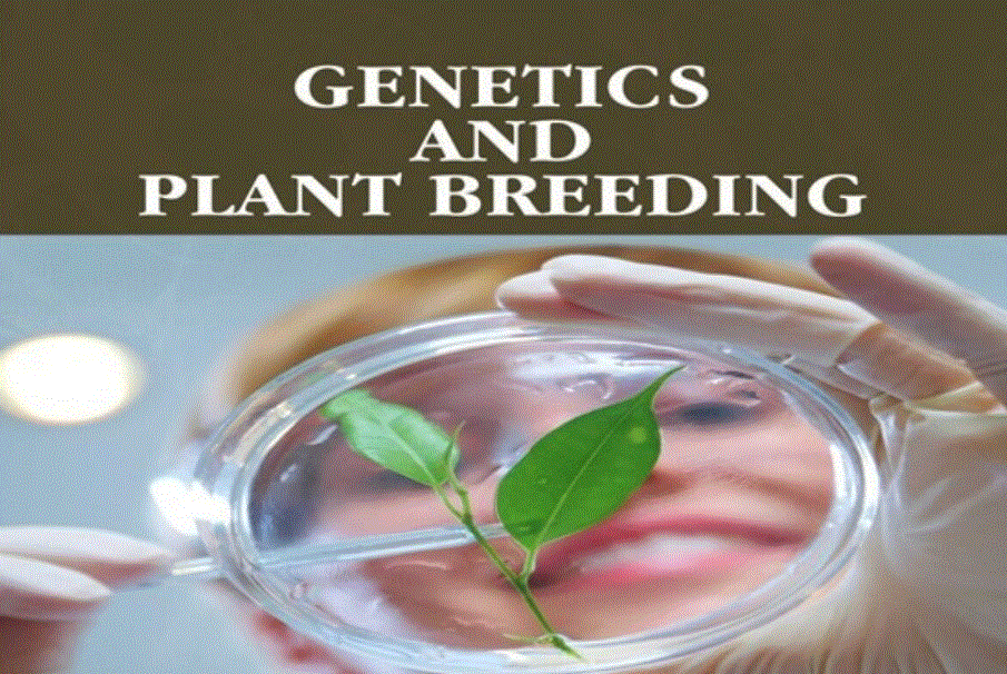 Plant Breeding and Genetics